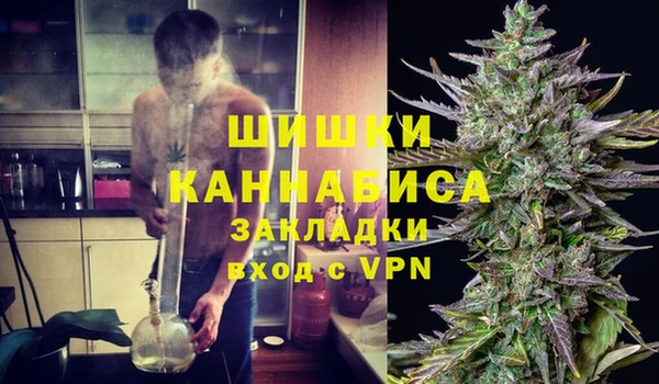 COCAINE Богородицк