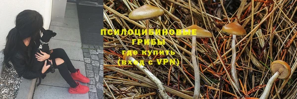 COCAINE Богородицк