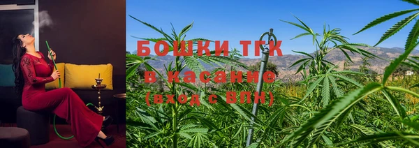 тгк Белокуриха