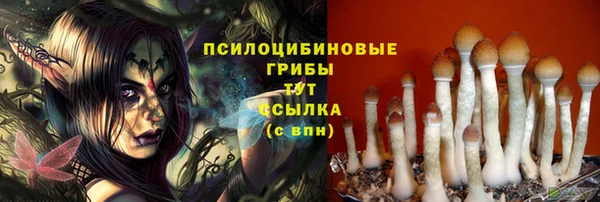 тгк Белокуриха